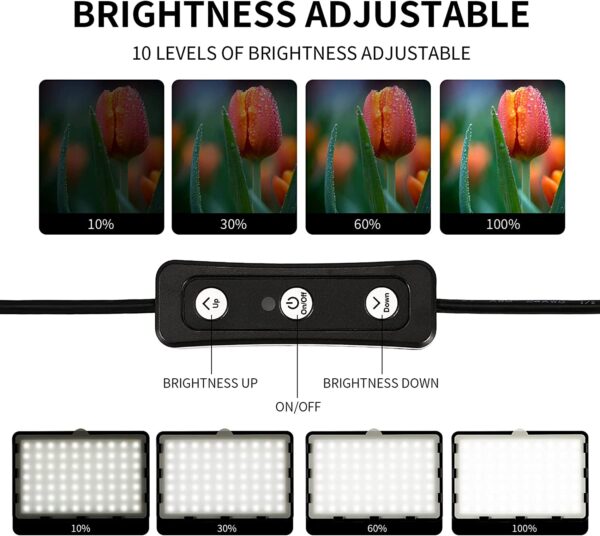 Paquete de 2 Luces Fotografía y video profesional - Imagen 9